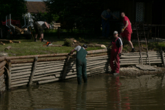 P1280381