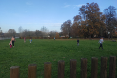 IMG_20221030_145353