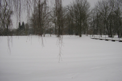 P1014828