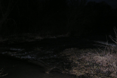P1014935