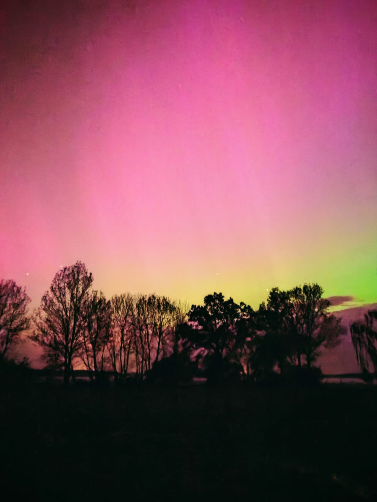 IMG-20240513-WA0043