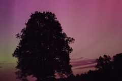 IMG-20240513-WA0003