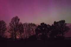 IMG-20240513-WA0006