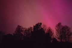IMG-20240513-WA0007