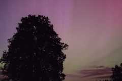 IMG-20240513-WA0012
