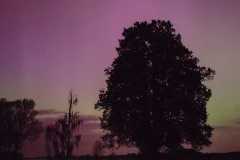 IMG-20240513-WA0013