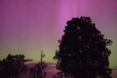 IMG-20240513-WA0017