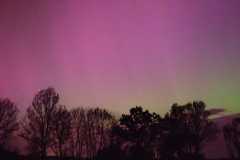 IMG-20240513-WA0018