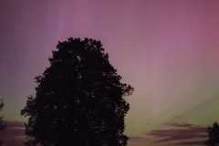 IMG-20240513-WA0020
