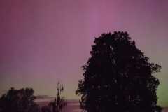 IMG-20240513-WA0021