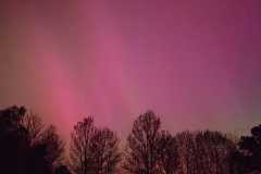IMG-20240513-WA0022