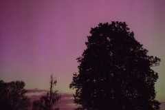 IMG-20240513-WA0023