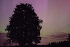 IMG-20240513-WA0024