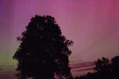 IMG-20240513-WA0027