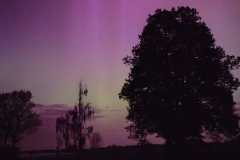 IMG-20240513-WA0028