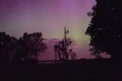 IMG-20240513-WA0029