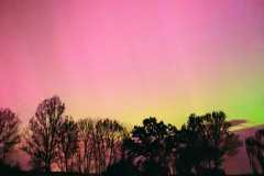 IMG-20240513-WA0043