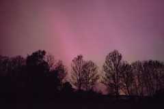 IMG-20240513-WA0044