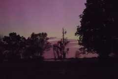 IMG-20240513-WA0045