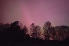 IMG-20240513-WA0047