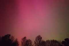 IMG-20240513-WA0053